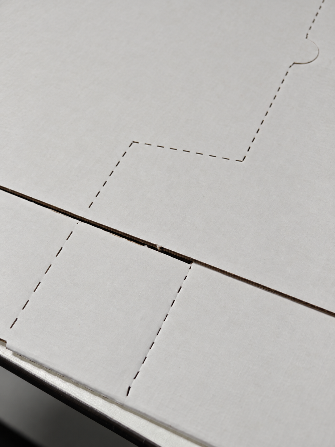 Detail of the perforation lines in white cardboard